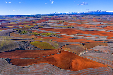 Agricultural landscape, Montaña Palentina, Palencia, Castilla y Leon, Spain, Europe