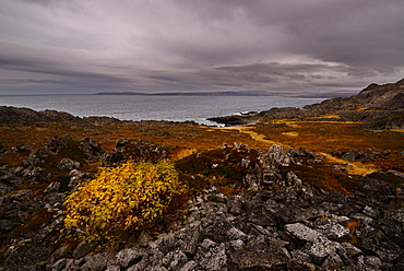 Landscape of the Varanger Peninsula, Finnmark, Norway