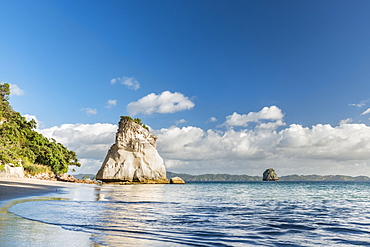 Sea Stack at Cathedral Cove, Te Whanganui-A-Hei, Coromandel Peninsula, North Island, New Zealand