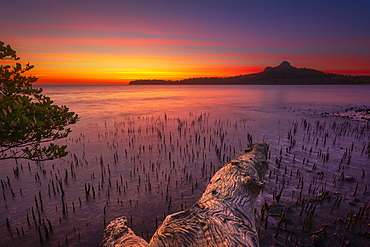 Sunset on a mangrove in the Bay of M'zouazia, Mayotte