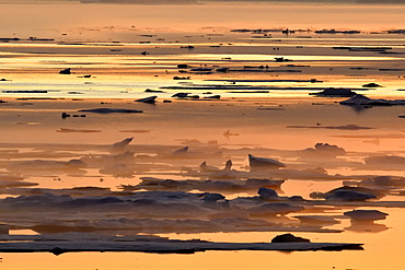 Drifting ice at sunset in Scoresbysund, North East Greenland