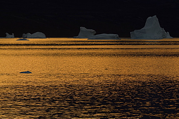 Sunset on icebergs in the Scoresbysund, North East Greenland