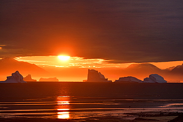 Sunset on icebergs in the Scoresbysund, North East Greenland