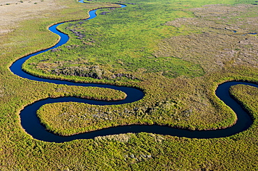 Aerial view of Okavango River, Okavango Delta, Botswana.