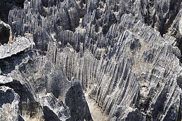 Landscape of tropical karstic phenomena in the Tsingy national park of Bemaraha, Small Tsingy area, UNESCO World Heritage site, Early November: end of dry season, Madagascar