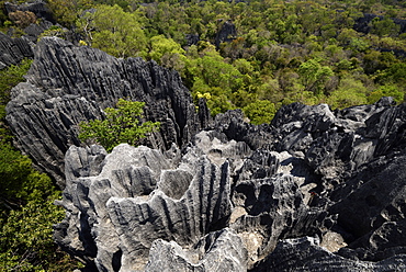 Landscape of tropical karstic phenomena in the Tsingy national park of Bemaraha, Small Tsingy area, UNESCO World Heritage site, Early November: end of dry season, Madagascar