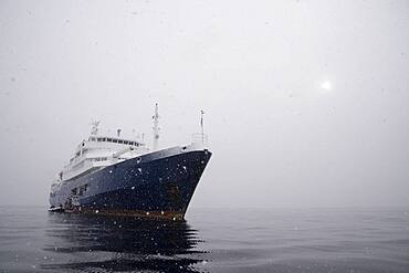 Plancius cruise ship, Portal Point, Antarctica.