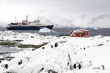 Plancius cruise ship Petermann Island, Antarctica.