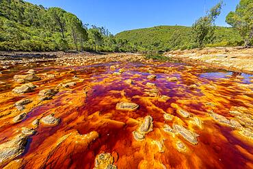 R?o Tinto, Andalucia, Spain *** Local Caption *** R?o Tinto ("Red River") is very acidic (Ph 2) and has a deep reddish hue due to iron dissolved in water. The acidity of the watercourse is linked to the drainage of pyrite, which is very present in the subsoil. Extremophilic and endemic bacteria and algae colonize the river bed, forming a fragile biofilm that evokes the hot springs of Yellowstone Park in the USA.