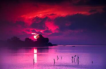 Sunrise in the delta of Ebro, biodiversity delta del ebro, new town of the delta of ebro, Catalu?a, Spain