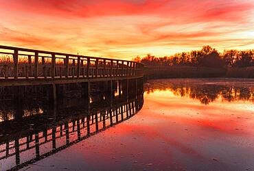 Colors of the sunset in the Tablas of Daimiel, Daimiel Ciudad Real, Castilla la Mancha, Spain