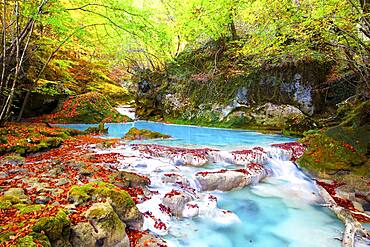 Autumn colors on the Urederra river, Baquedano, Navarra, Spain