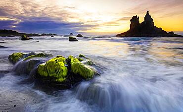 Sunset in Benijo beach, Green algaes on the stones. Beach of Benijo at sunset in spring, Anaga, Tenerife, Santa Cruz, Spain