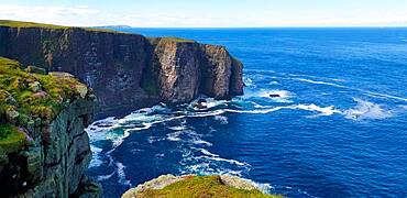 Isle of Handa, Scotland