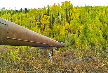 Davidson ditch: conduit bringing the water of excavators and prospectors, Steese highway, from Fox to Circle, Alaska