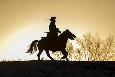 One Mongolian horseman on a horse running in a meadow covered by snow, Bashang Grassland, Zhangjiakou, Hebei Province, Inner Mongolia, China