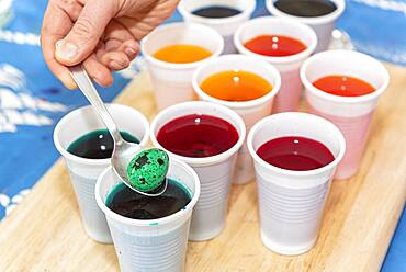 Coloring quail eggs with natural dyes for Easter, spring