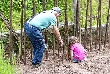 Grandfather Sowing Ream Beans 'Vesperal' with his Little Girls, Spring, Moselle