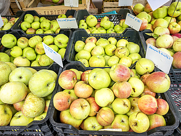 Pommes anciennes