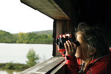 Girl observing birds through binoculars, etang de la Veronne, Etangs du Malsaucy et de la Veronne trail, Sermamagny, Territoire de Belfort, France