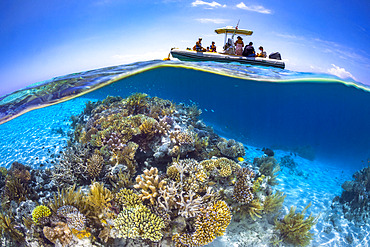 Coral reef in the lagoon in Mayotte. A week end in Mayotte, along the S pass to admire the reef and the magnificent corals that compose it.