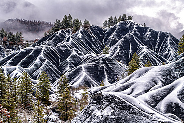 Les Terres Noires de Robine sur Galabre under the snow. Jurassic (Toarcian) marls rich in organic matter, tender and very sensitive to gullying, colonized mainly by Scots pines and forming remarkable reliefs in the Digne Geological Reserve, Alpes de Haute Provence, France.