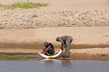 Kruger National Park rangers cleaning in the river a tusk just extracted from the body of a naturally dead elephant (Loxodonta africana) in order to fight against poaching, Kruger NP, South Africa