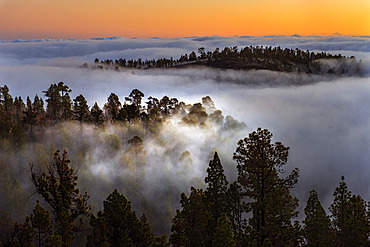 Teide National Park, Tenerife. Sea of ??clouds, south of the island. It is caused by the trade winds, which push the clouds against the summit, usually forming between 800 and 1000 meters of altitude. Canary Islands.