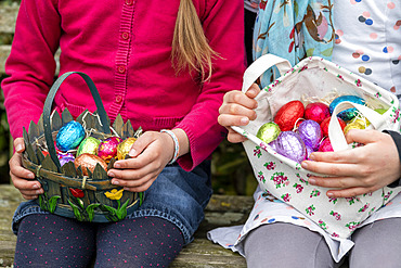 Egg hunt in a garden at Easter, Pas de Calais, France