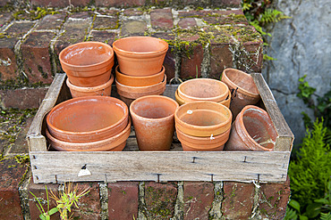 Clay pots in a crate, summer, Pas de Calais, France