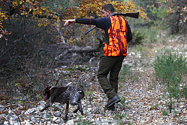 Man hunting with his dog breed german pointer, Vaucluse, France