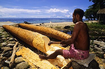 Preparation of Sago Fergusson island Papua New Guinea