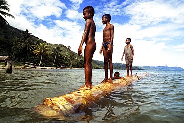 Children on Sago trunk Fergusson island Papua New Guinea