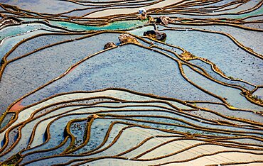 Honghe Hani Rice Terraces in Yuanyang County. Yunnan Province. China.