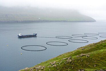 Salmon farm, Vidoy Island, Faroe Islands, Denmark.