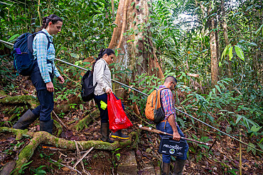 Researchers walking through the rainforest at the "La Selva" research station in Puerto Viejo de Sarapiqui, Costa Rica
