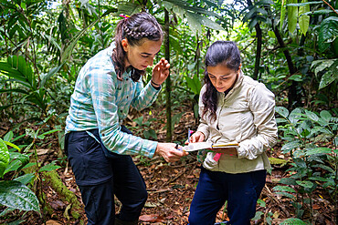 27-year-old researcher and her team working on nitrogen exchange between bacteria and the roots of legumes in the rainforest at the "La Selva" research station in Puerto Viejo de Sarapiqui, Costa Rica