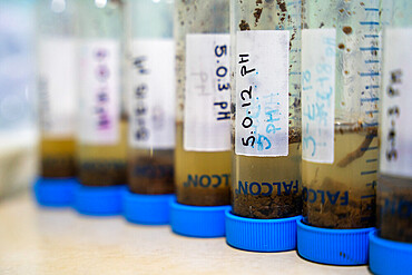 Earth diluted with water in order to extract the PH from the soil as part of a study on nitrogen exchanges between bacteria and the roots of legumes in the tropical forest of the "La Selva" research station in Puerto Viejo from Sarapiqui, Costa Rica