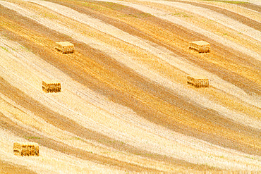 Traces of combine harvester after wheat harvest in the fields in summer, Lorraine Regional Nature Park, France