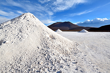 El Cebollar cobalt mine. Antofogasta Region N. Chile