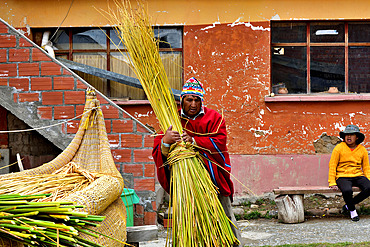 Aymara working the Totora (Schoenoplectus californicus subsp. tatora), Lake Titicaca, Bolivia