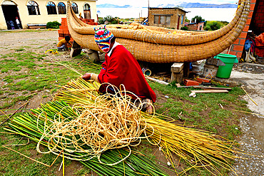 Aymara working the totora (Schoenoplectus californicus subsp. tatora), Lake Titicaca, Bolivia