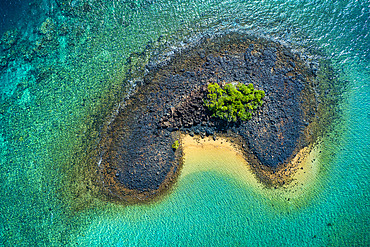 Tiny islet. A tiny islet with a single mangrove tree in the lagoon of Mayotte.