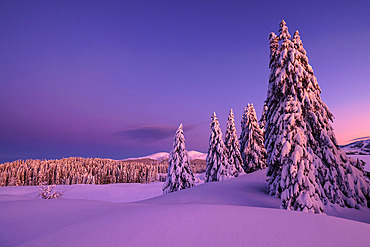 The Hautes Combes, in the background : the Jura Mountains, Jura, France