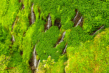 Anse des Cascades, Piton Sainte-Rose, Reunion Island, France