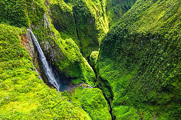 The Trou de fer, Bras-Panon, Salazie, Reunion Island, France