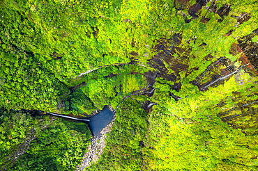 The Trou de fer, Bras-Panon, Salazie, Reunion Island, France