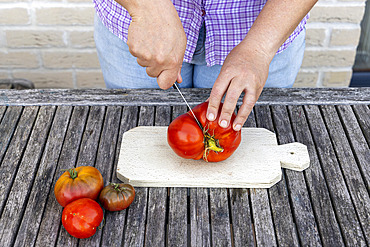 Harvesting seeds of old variety tomatoes 'Coeur de boeuf'