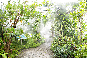 Tropical greenhouse, Botanical Conservatory Garden of Brest, Finistere, Brittany, France