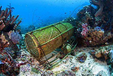 Fish trap basket, Boardroom dive site, Pura Island, near Alor, Banda Sea, Indonesia